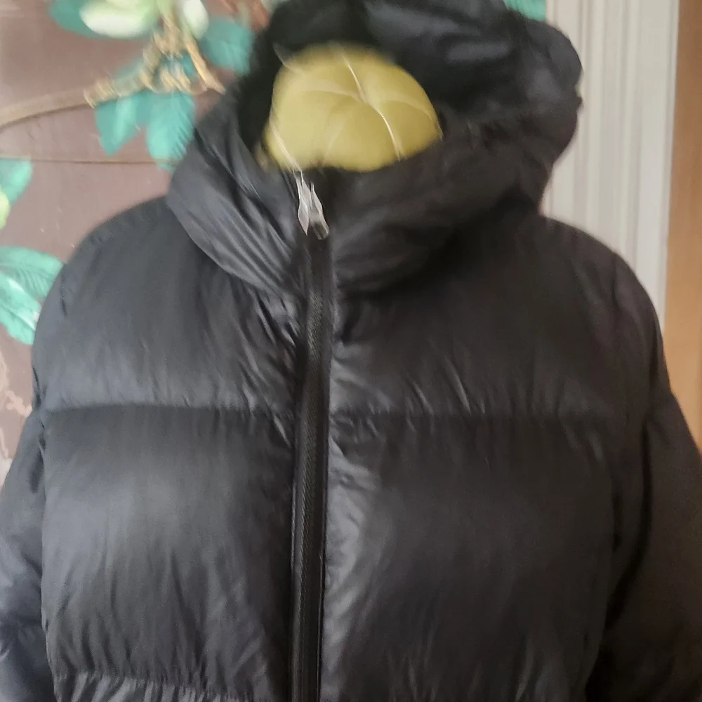 Eddie Bauer EB550 Down Parka Womens M Black Hooded Winter Puffer Coat - Picture 2 of 11